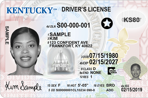 Buy-Registered-US-Driving-License.png